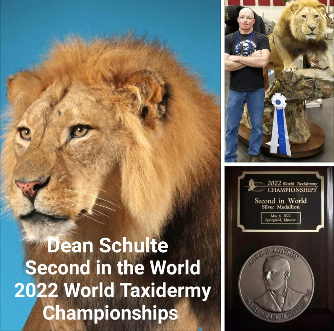 Dean Schulte Award